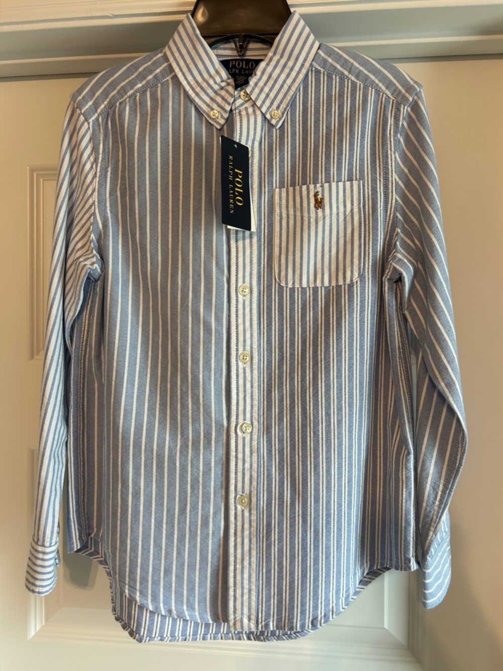 Polo by Ralph Lauren Light Blue and White Striped Button-Down Shirt